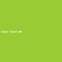 Guter Stahl-BH